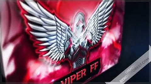 MY NEW INTRO / VIPER FF