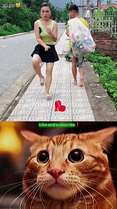 Caption This Short.. ❗💀     #shortvideos #cat #memes #funny