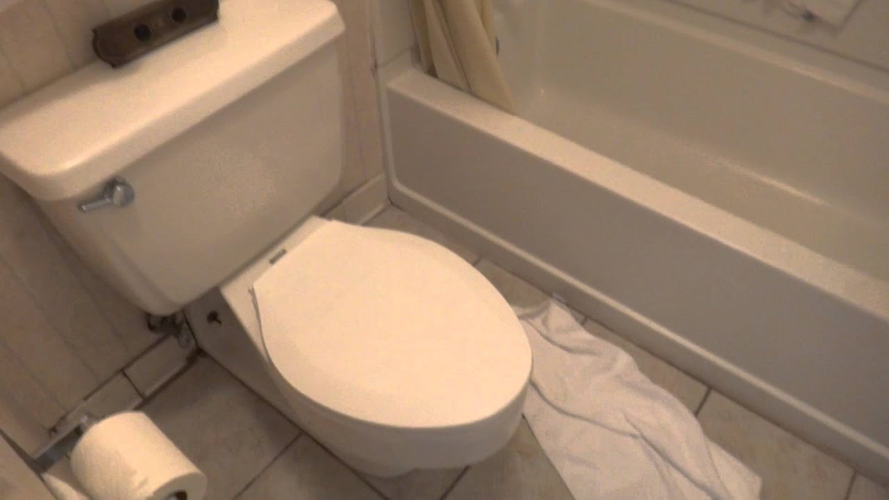 toilet tour san diego