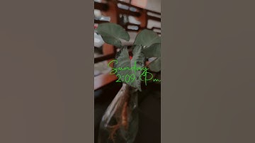 Favorite ootd - Demo video | Spark AR