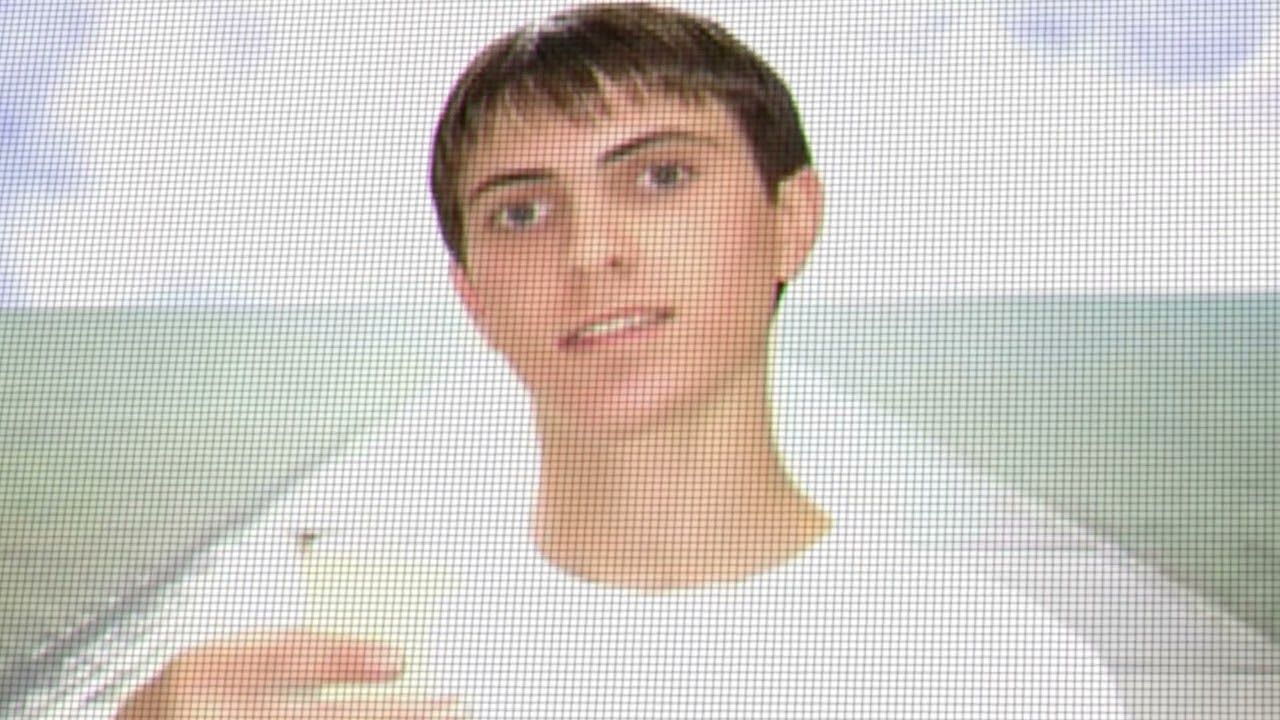 Purple Reveries Official Promo