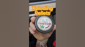 Exploding Pellets (UK) #shorts