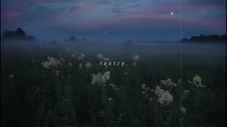 billie eilish - halley's comet (slowed & reverb) [with lyrics]