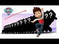 Paw patrol growing up compilation  cartoon wow