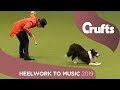 The Greatest Chowman! Epic Heelwork To Music Performance | Crufts 2019