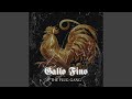 GALLO FINO