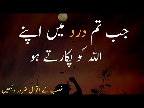 Most Heart Touching Quotes in Urdu | amazing collection of hindi quotes | islami quotes | precious