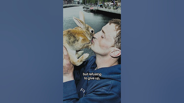 Someone Tried to Kill His Pet Rabbit... #shorts