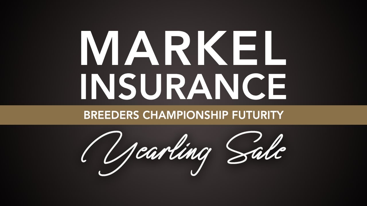 2023 NSBA World Show Markel Insurance Breeders Championship Futurity