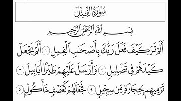 moustafa ellahony  سورة الفيل/مصطفى اللاهوني