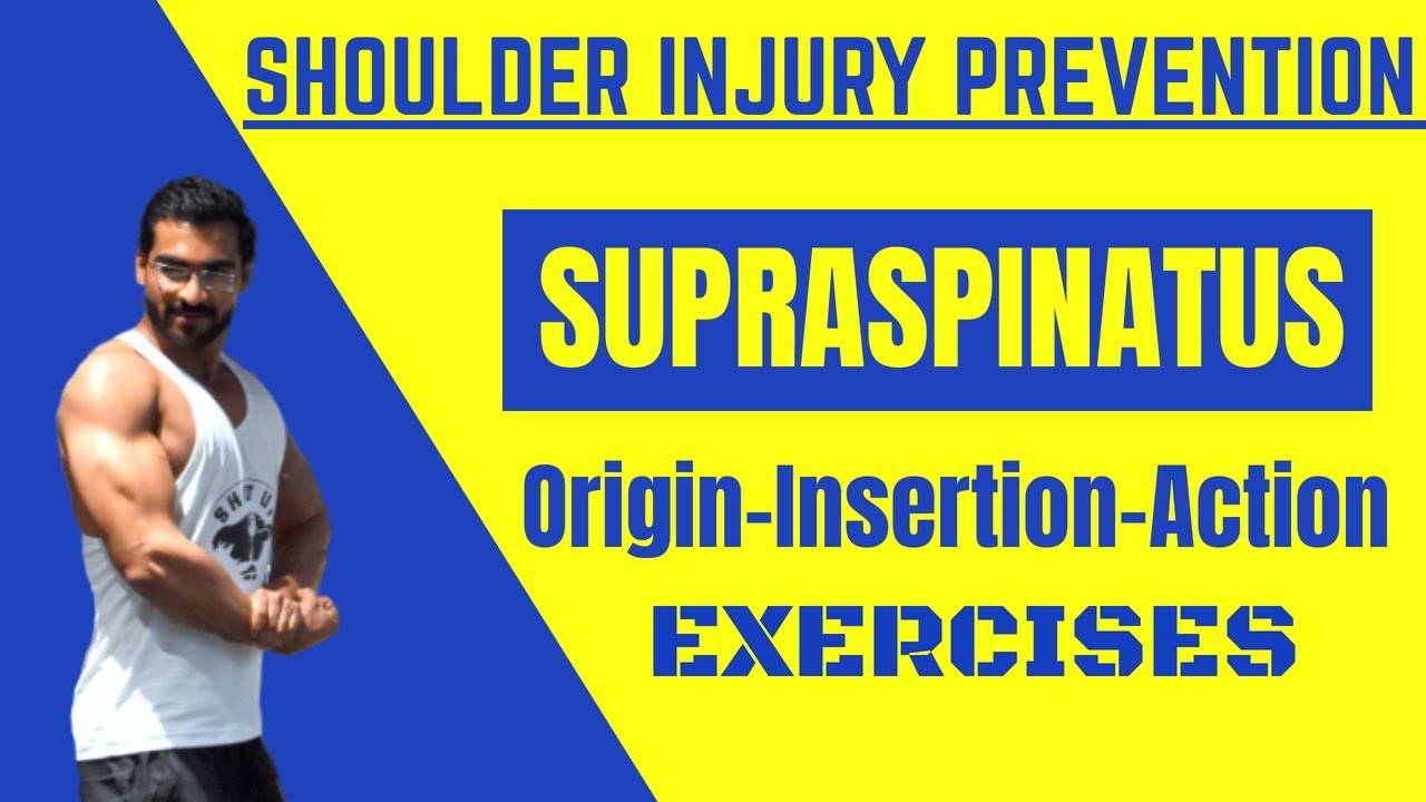 Tips To Prevent Shoulder Injury Supraspinatus Origin Insertion Actions Youtube