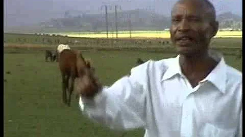 Fandishe Mullata (Oromo Music) - Sumaani Booya