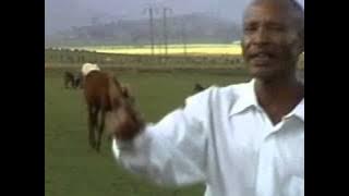 Fandishe Mullata (Oromo Music) - Sumaani Booya