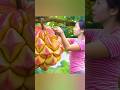 Harvest Dragon Fruit And Goes To Market Sale Dragonfruit Tropicalfruit Forageharvest Harvest Dragon Fruit And Goes To Market Sale Dragonfruit Tropicalfruit Forageharvest