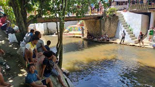 Viral . . Penangkapan ikan lubuk larangan Tambangan Jae