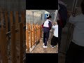 无忧无虑的童年 纪录美好生活 顶雨捡鸡蛋呀 无忧无虑的童年 纪录美好生活 顶雨捡鸡蛋呀