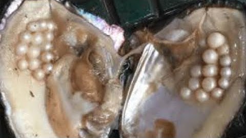 English Class, Grade:Eight,  Unit:Seven, Lesson: One,  Pearls! Pearls! Pearls!