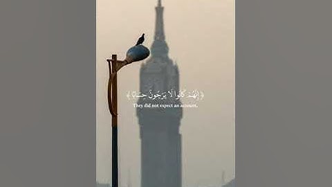 القارئ: عبد الرحمن مسعد سورة النبأ♡
