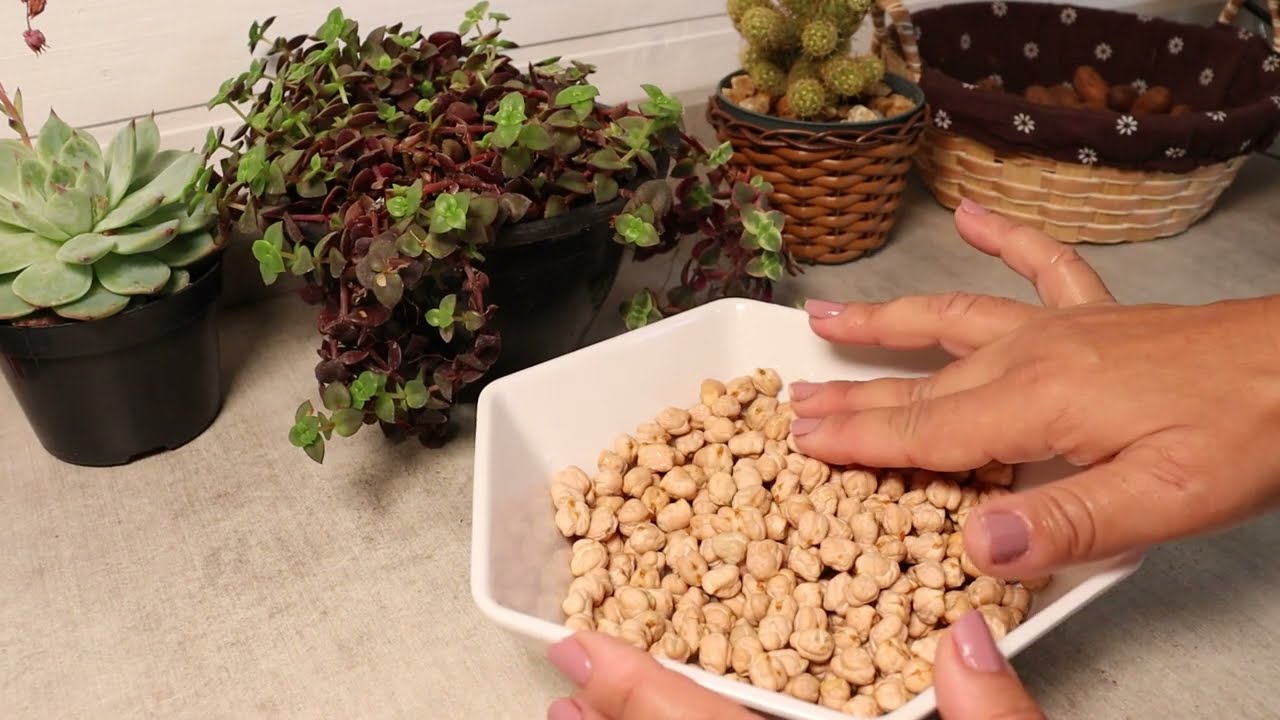 Как быстро приготовить нут/правильно приготовить его #нут #рецепты