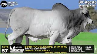 LOTE 57   VVD 6848