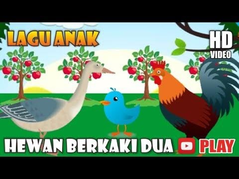  Hewan  Berkaki  Dua Burung Bebek dan Ayam Kakinya Dua 