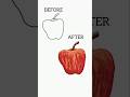 Realistic Apple Painting Tutorial #shorts #digitalpainting