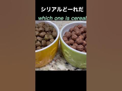 犬はシリアルを食べても大丈夫？