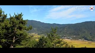 Stunning View In Korea Starway Hadong