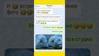 #юморshorts #шуточное #смешно