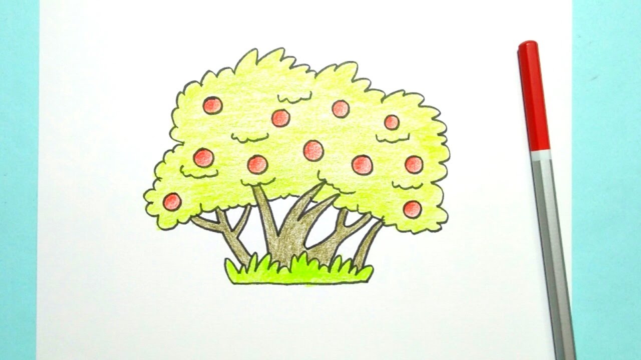 Berry Tree Drawing Berry Bush Drawing
