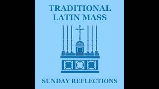 18th Sunday After Pentecost Reflection: Forgiveness Before Healing
