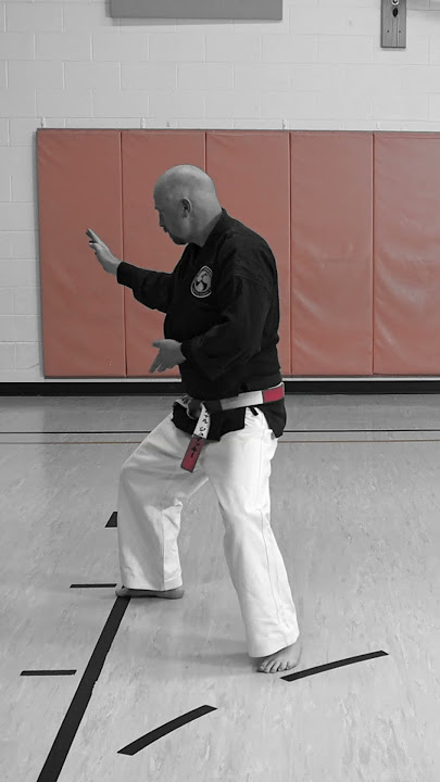 Pinan (Heian) Nidan  #karate #shorinryu #karatekata #shotokan #martialarts