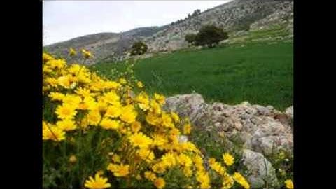 قراءة من صلاة العشاء للشيخ محمود فرج عبدالجليل ماتيسر من سورة ال عمران