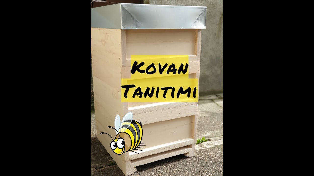Kovan Tanıtımı (Zander)