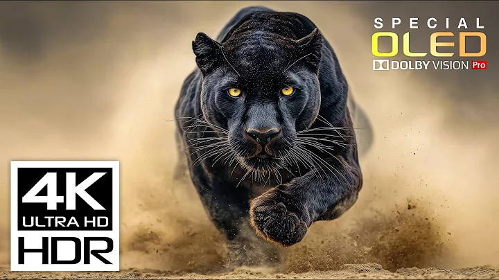 Unbelievable Video 4K HDR ULTRA HD 120 fps | Dolby Vision (8K/4K Video TV)