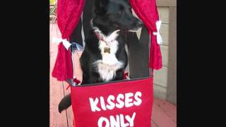 The Making of Kissing Booth Dog Video.wmv