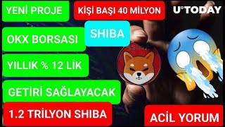 Yeni̇ Proje Shiba Okx Borsasi %12 Geti̇ri̇ Kazanci Sağliyor 1.2 Mi̇lyar Shiba Aci̇l Yorum