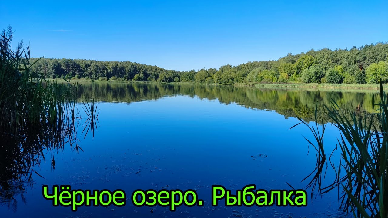 Озеро московское рыбалка. Черное озеро Новокосино.