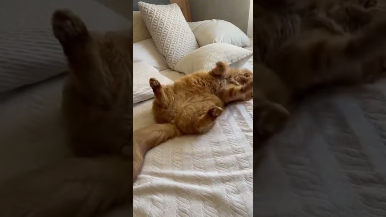 GO GO GADGET Unlock Hidden Tech Secrets 