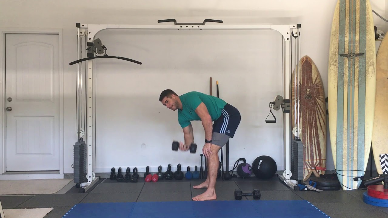 Simple 10 Minute Arm Workout With Weights Standing for Push Pull Legs