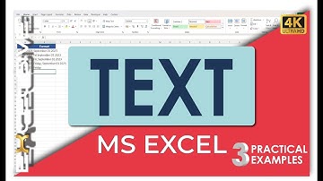 Master the Excel TEXT Function for Powerful Data Transformation! 💼📊