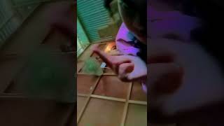 Download Lagu 19 September 2024 MP3