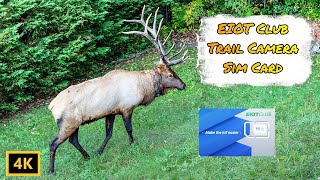 EIOT Club SIM Cards for Trail Cameras and IOT Review