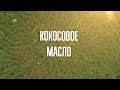 Кокосовое масло | Энциклопедия здорового питания