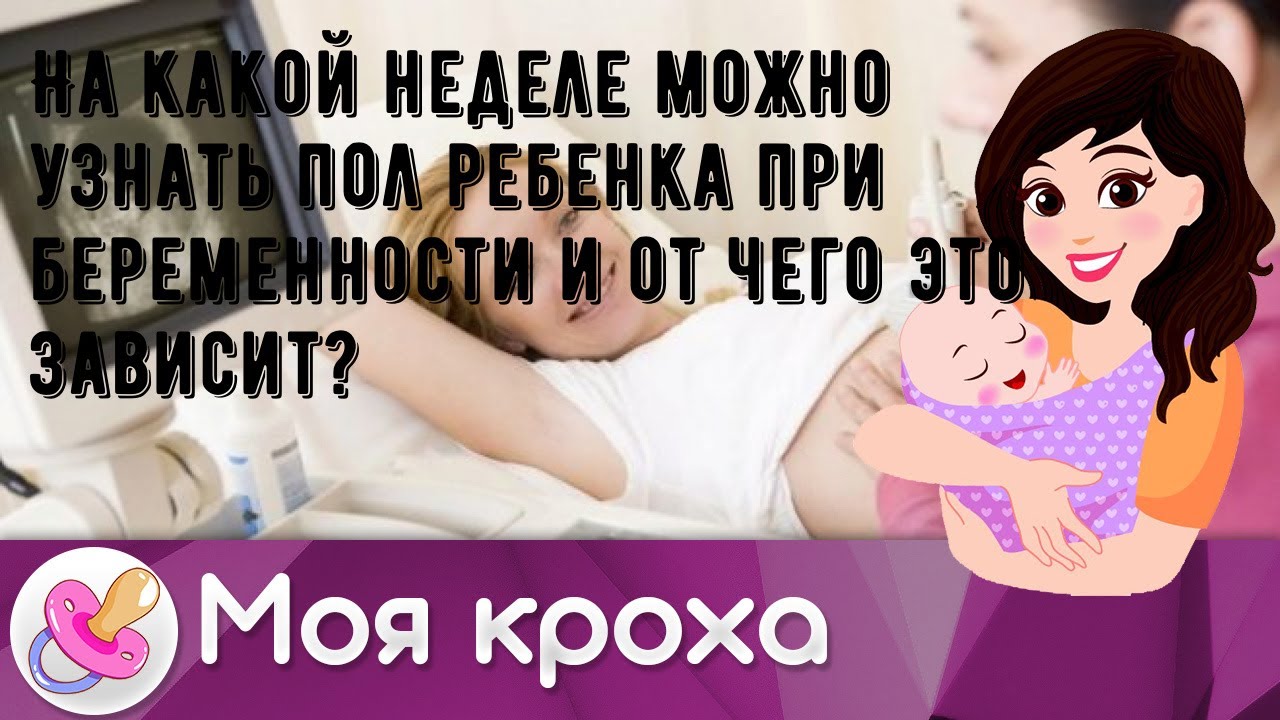 На какой неделе можно узнать пол ребенка при беременности и от чего это зависит?