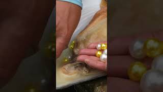 🐚😲The pearls hidden within mutated river clams!