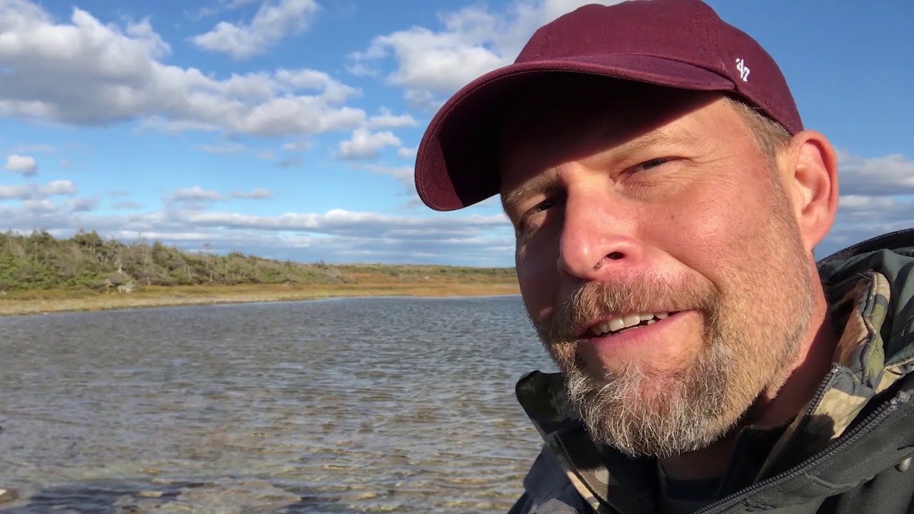 Wildlife Photography in Northern Newfoundland!