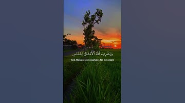 ماتيسر من سورة ابراهيم للقارئ محمد شيحات🌹#القرآن_الكريم #tiktok #trend #انشر_تؤجر #لايك