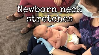 Neck stretches for newborn