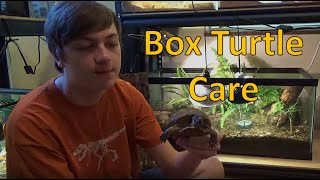 Box Turtle Care